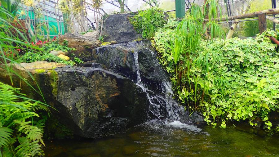 Aberdeen_David_Welch_Winter_Garden_10