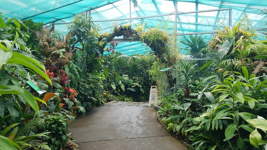 Aberdeen_David_Welch_Winter_Garden_4