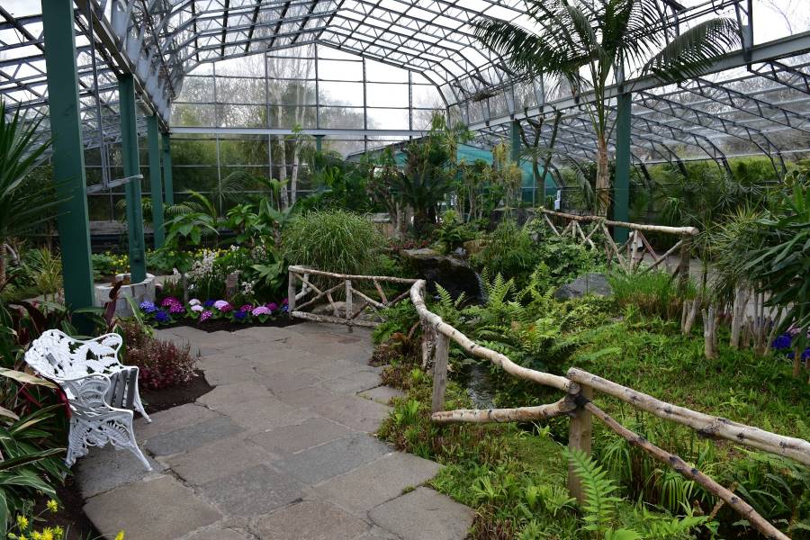 Aberdeen_David_Welch_Winter_Garden_6