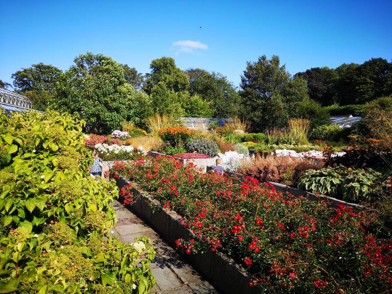 Aberdeen_David_Welch_Winter_Garden_7