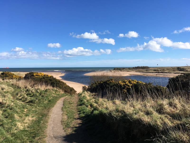 Aberdeen_Donmouth_Local_Nature_Reserve_2