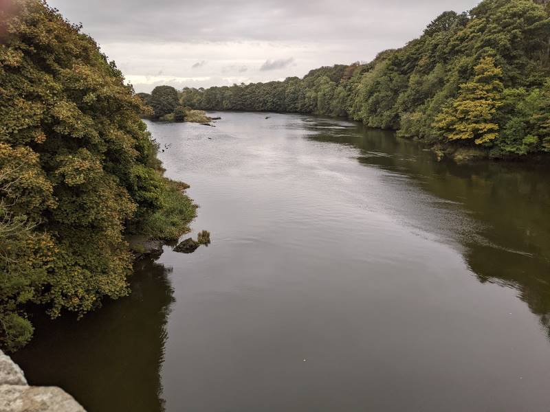 Aberdeen_Donmouth_Local_Nature_Reserve_5