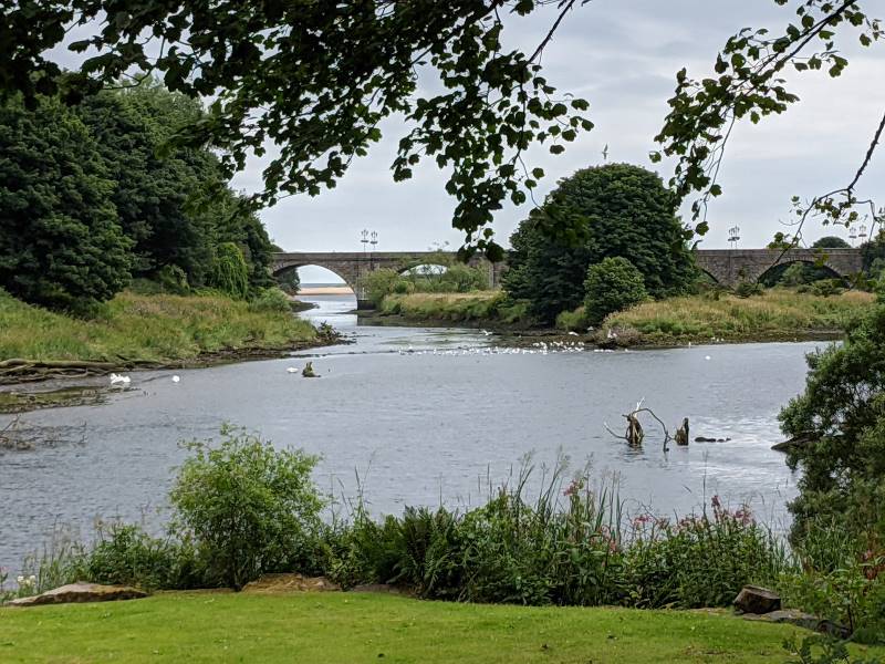 Aberdeen_Donmouth_Local_Nature_Reserve_6