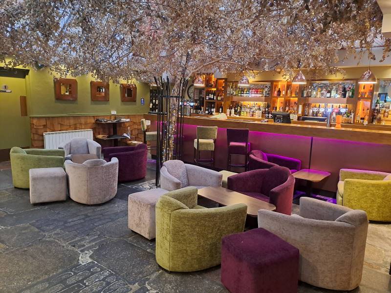 Aberdeen_The_Braided_Fig_Aberdeen_5