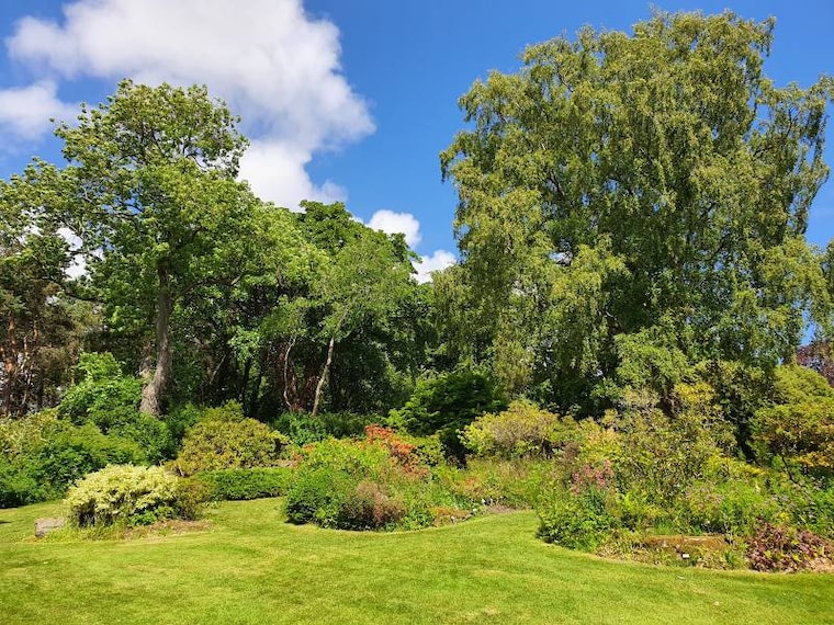 Aberdeen_Cruickshank_Botanic_Garden_1