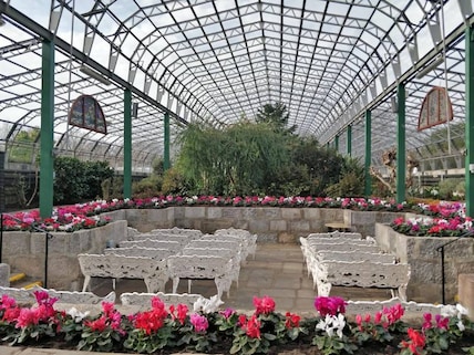 David Welch Winter Garden