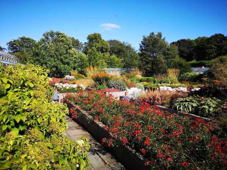 Aberdeen_David_Welch_Winter_Garden_7