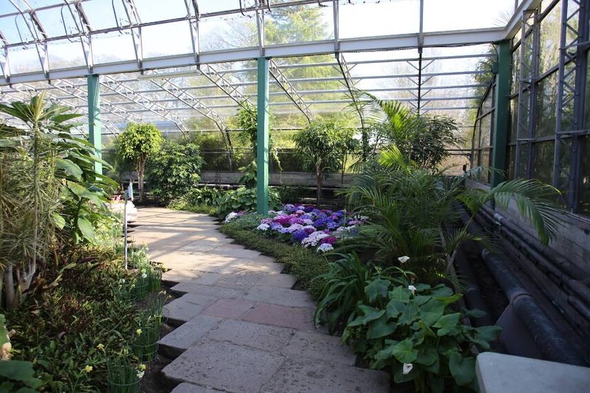 Aberdeen_Duthie_Park_1