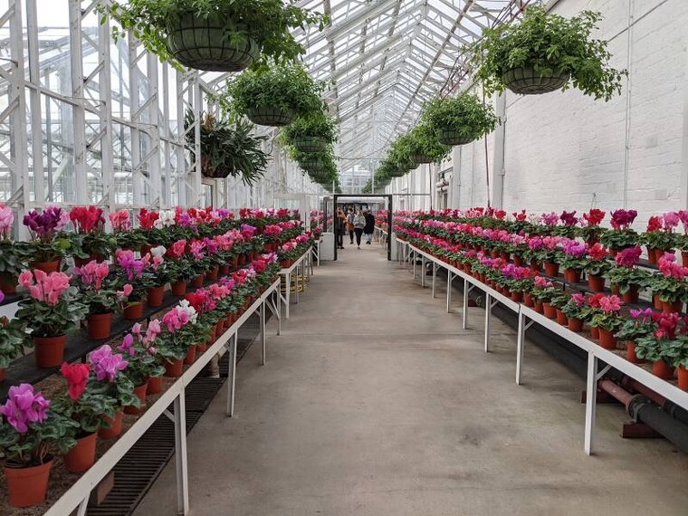 Aberdeen_Duthie_Park_3