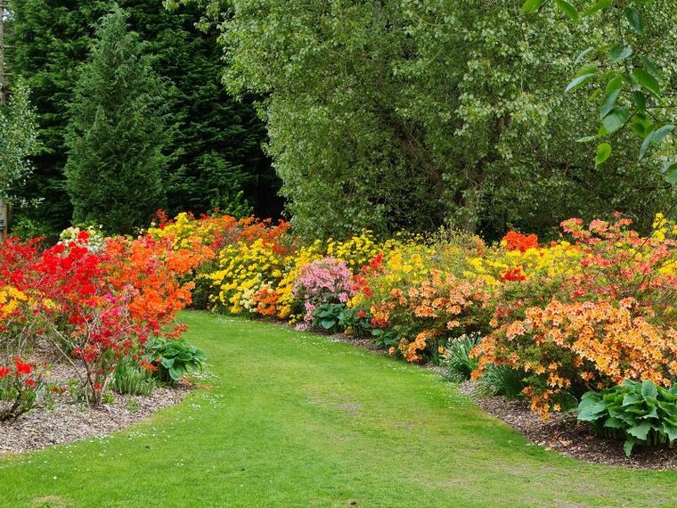 Aberdeen_Hazlehead_Park_8