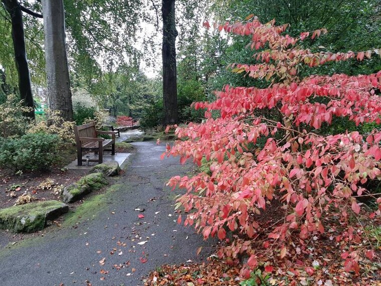 Aberdeen_Johnston_Gardens_10