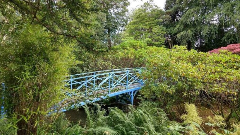 Aberdeen_Johnston_Gardens_2