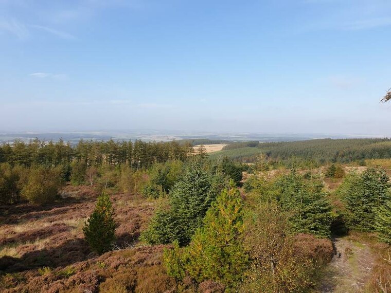 Aberdeen_Kirkhill_Forest_4