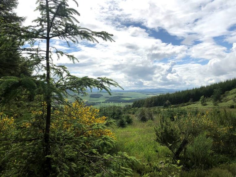 Aberdeen_Kirkhill_Forest_6