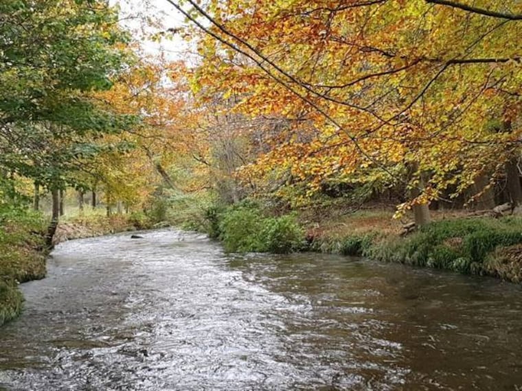 Aberdeen_Seaton_Park_9