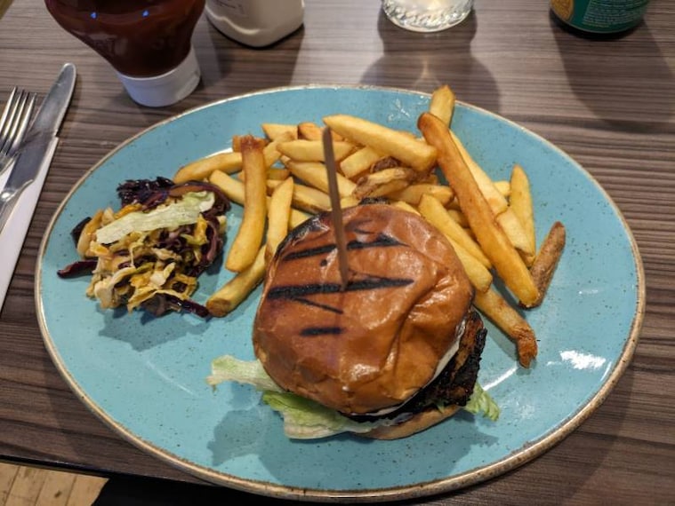 Aberdeen_Tango_Turtle_5