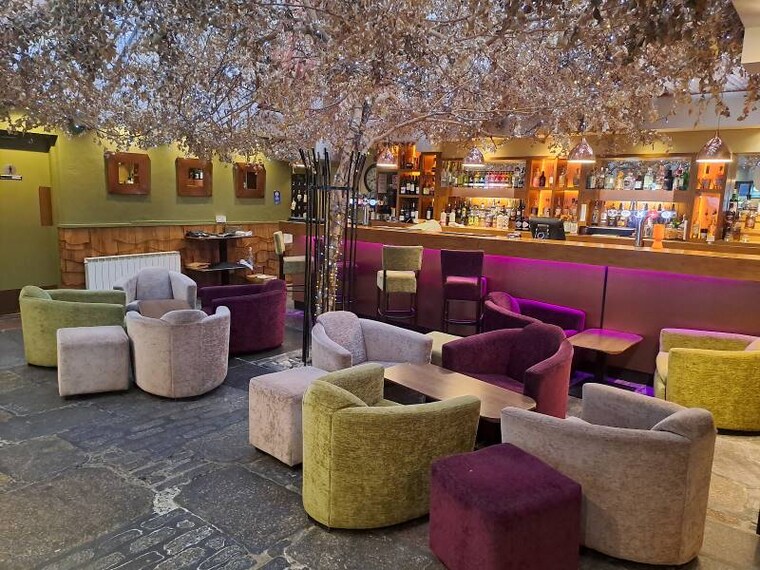 Aberdeen_The_Braided_Fig_Aberdeen_5