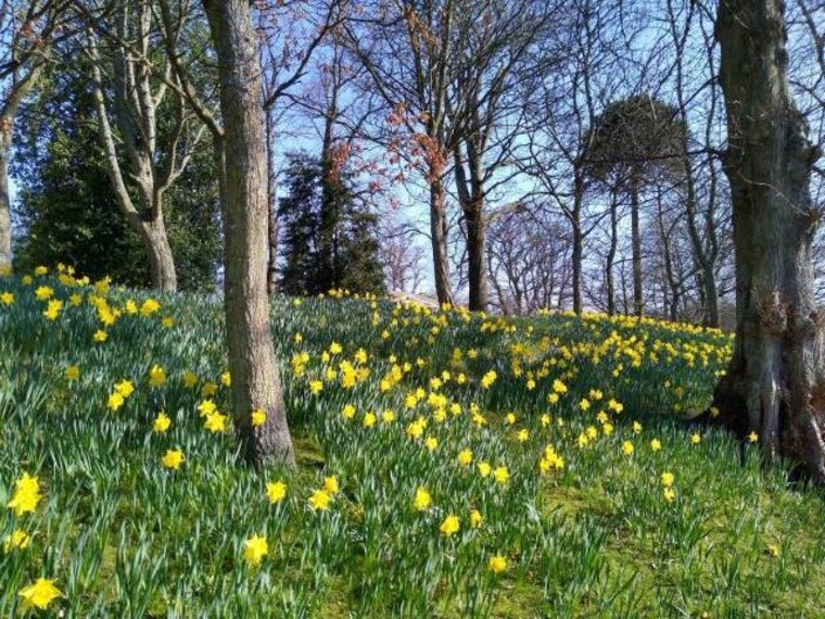 Aberdeen_Westburn_Park_5