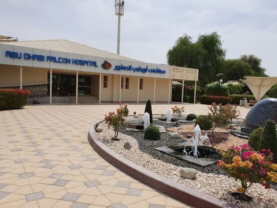 abu_dhabi_falcon_tour_at_abu_dhabi_falcon_hospital