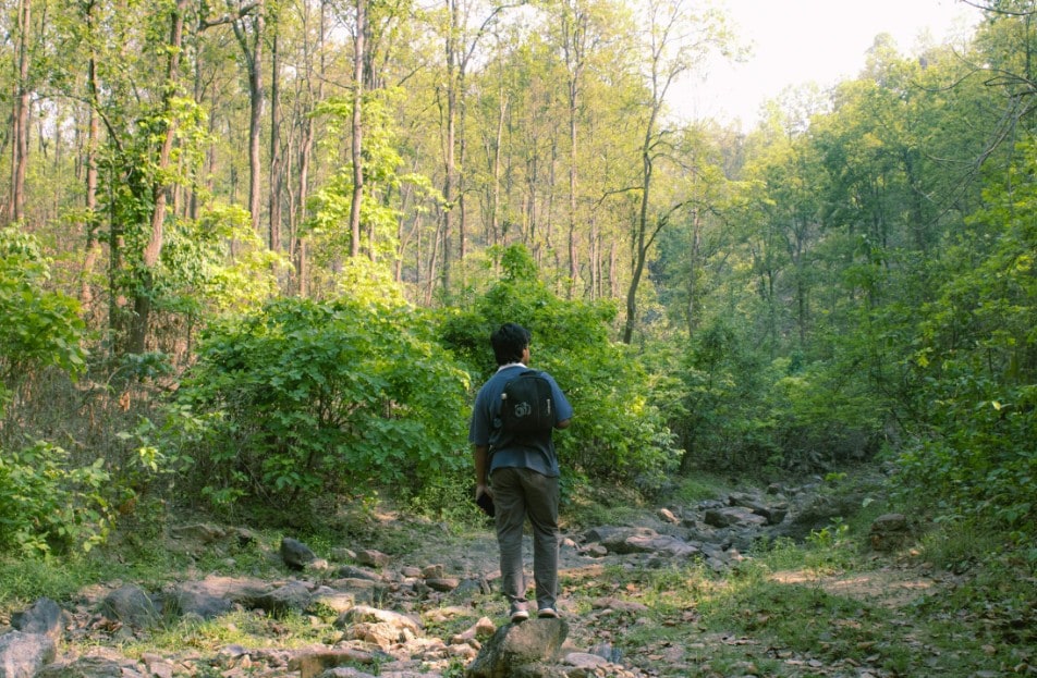 The Riverwood Forest Retreat Kanha - Tap to explore photos