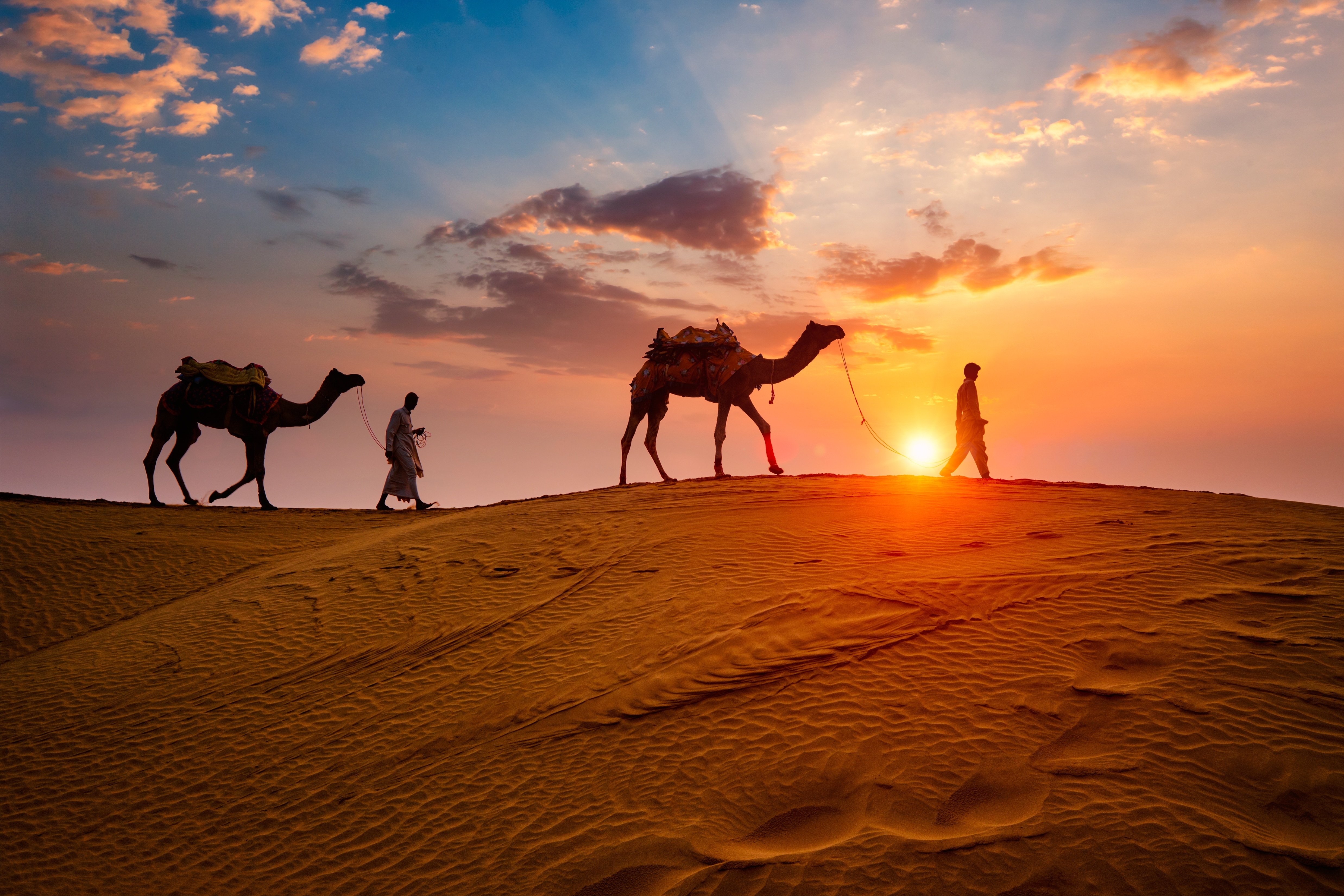 Sahara Jadam Resort - Tap to explore photos