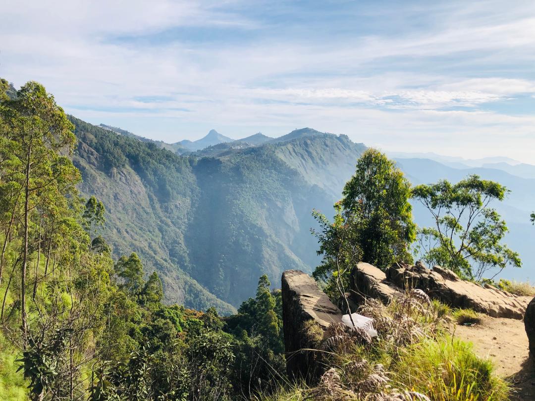 Zostel Kodaikanal (Vilpatti) - Tap to explore photos