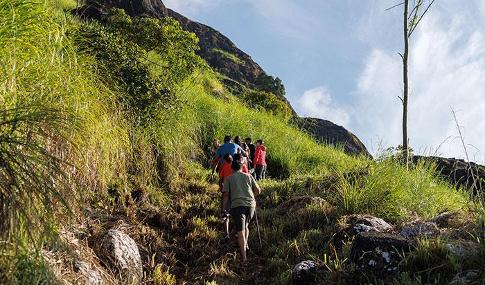 Beginner-friendly Trek