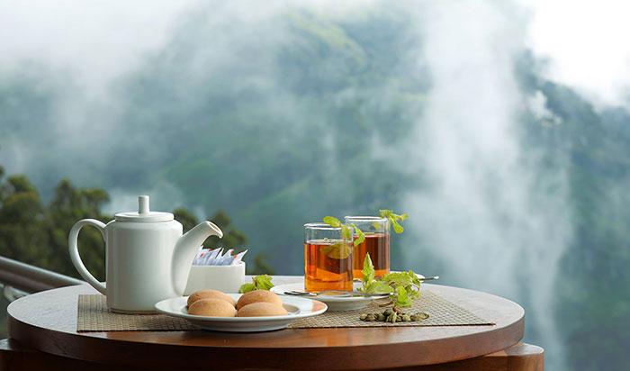 Tea Tasting & Film Screening