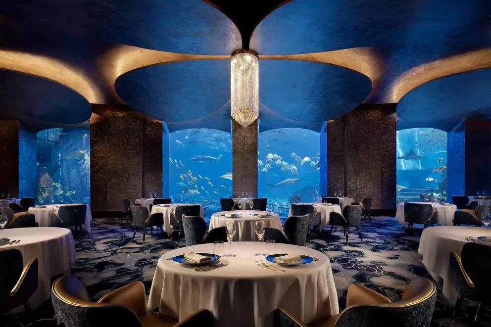 Underwater Dining Experience