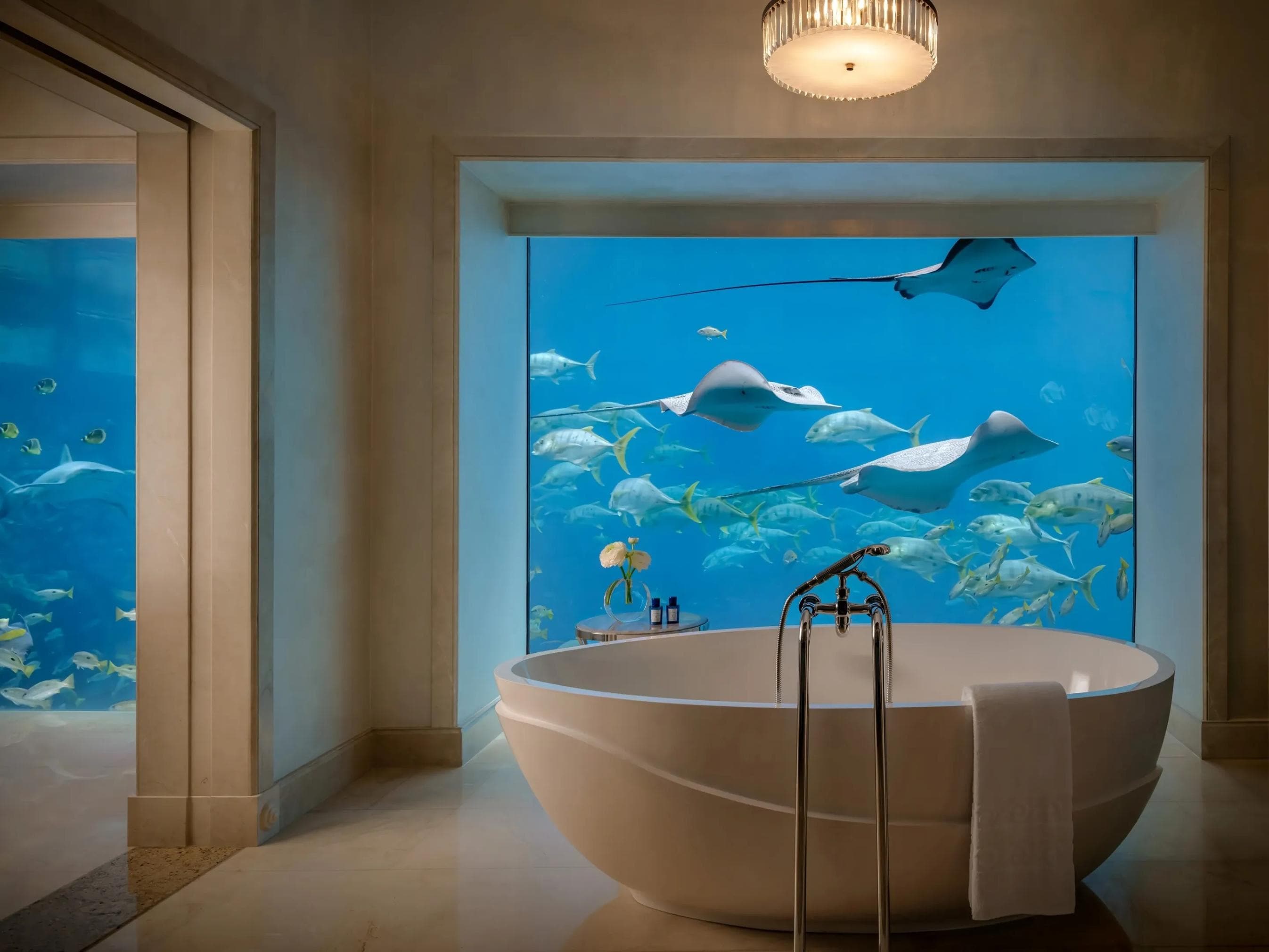 Underwater Suite