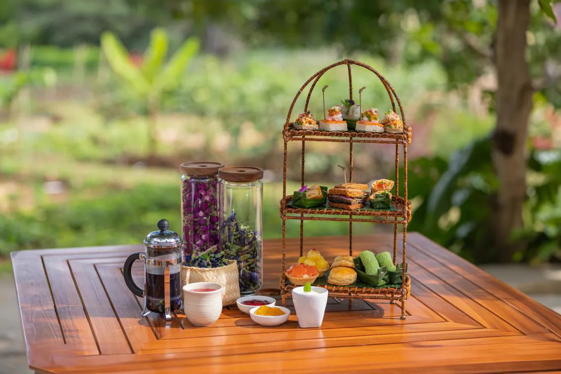 Orchid Afternoon Tea