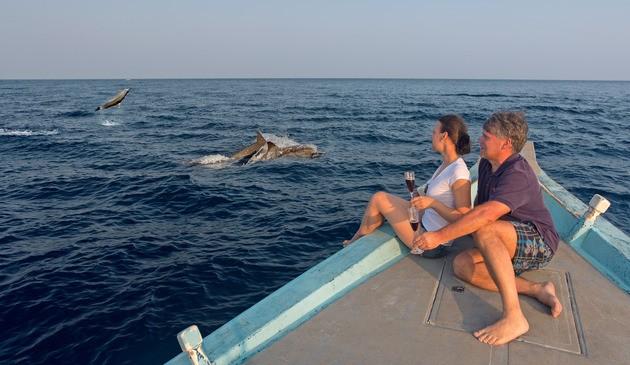 Sunset Dolphin Cruise