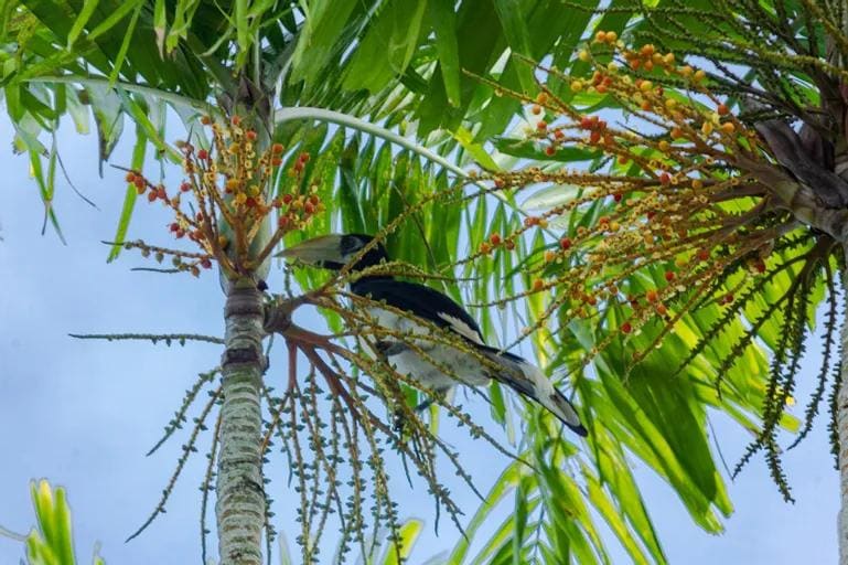 Nature’s Little Explorer