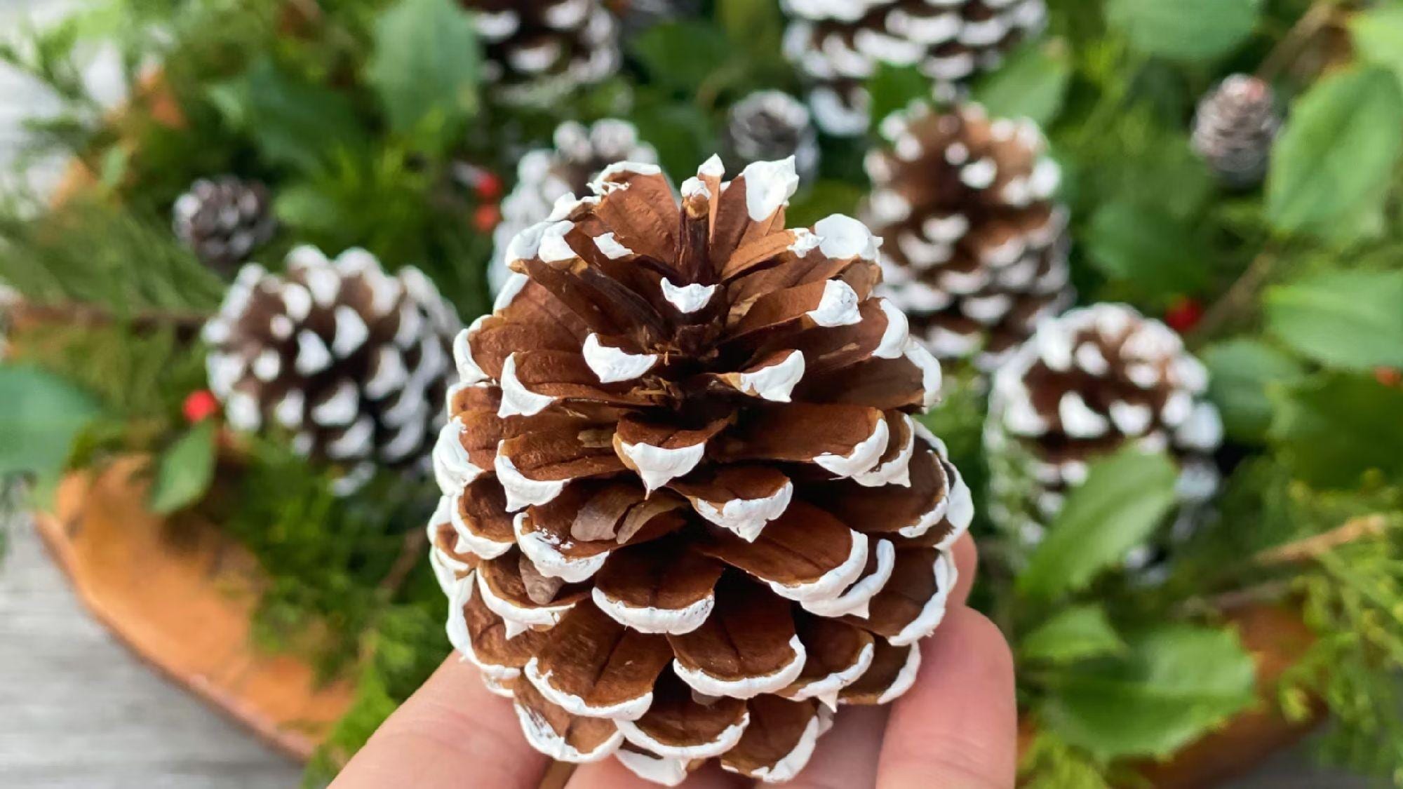 Pine Cone Painting