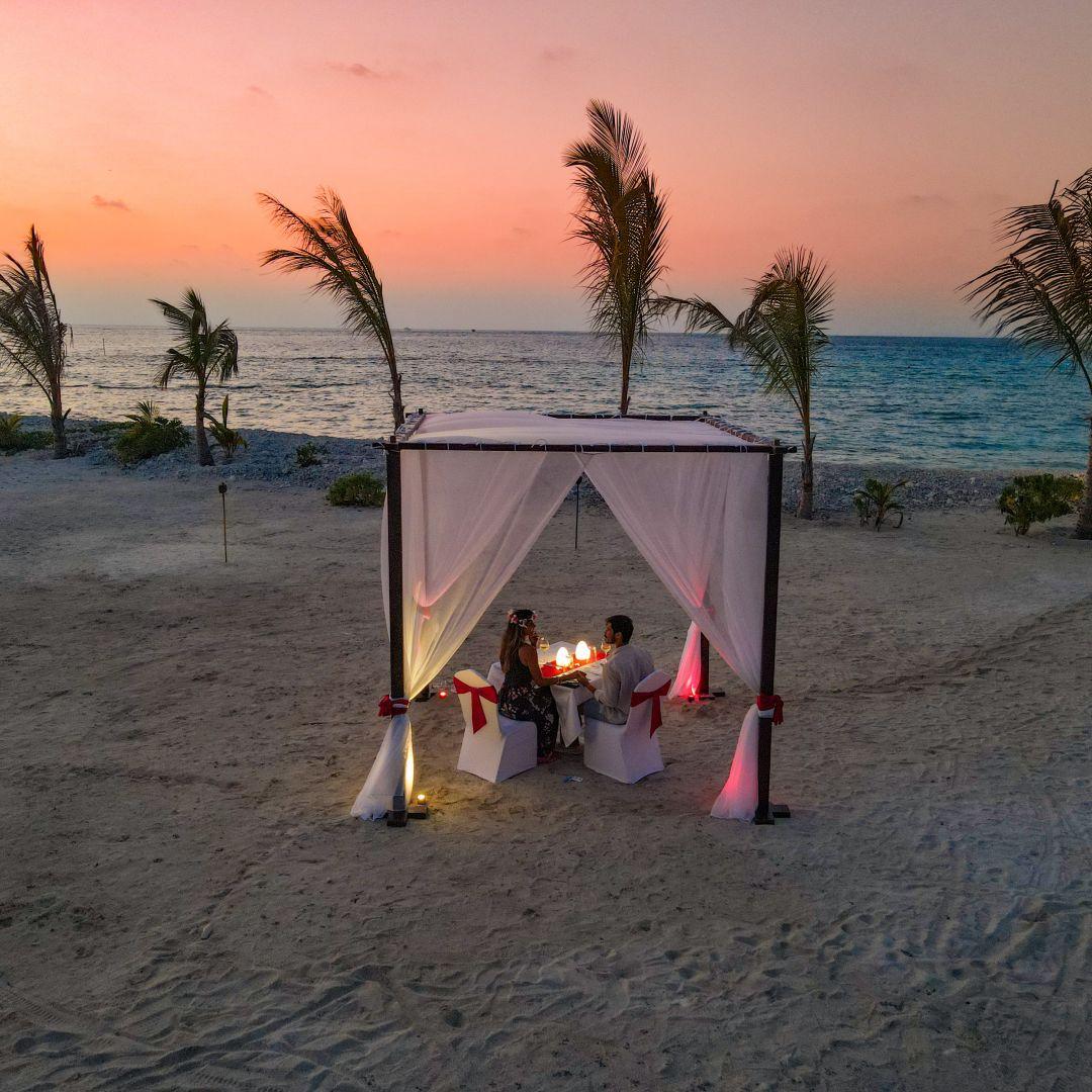 Dine Under the Stars