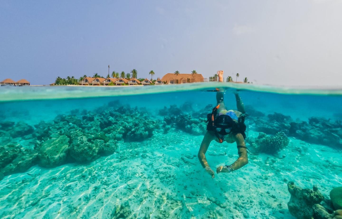 Guided Diving & Snorkelling