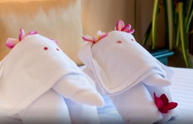 Towel Origami Workshop