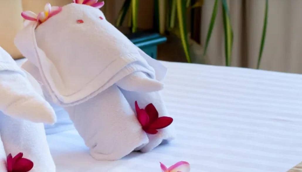 Towel Origami Class