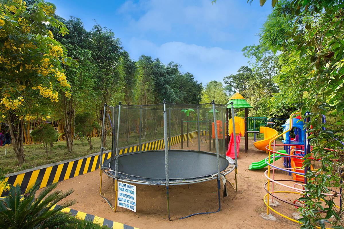 Play Area