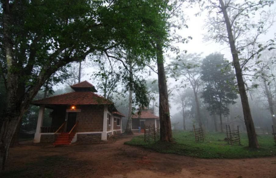 Nature Walk & Birdwatching