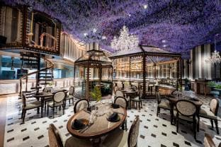 Dine Around 22+ Restaurants