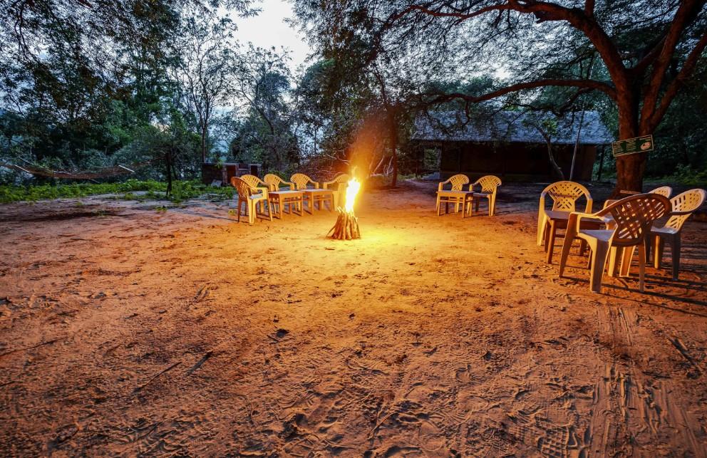 Campfire by the Riverside