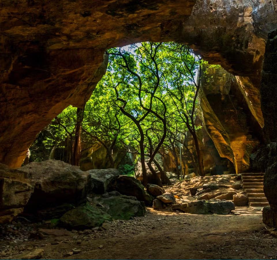 Guided Cave Exploration