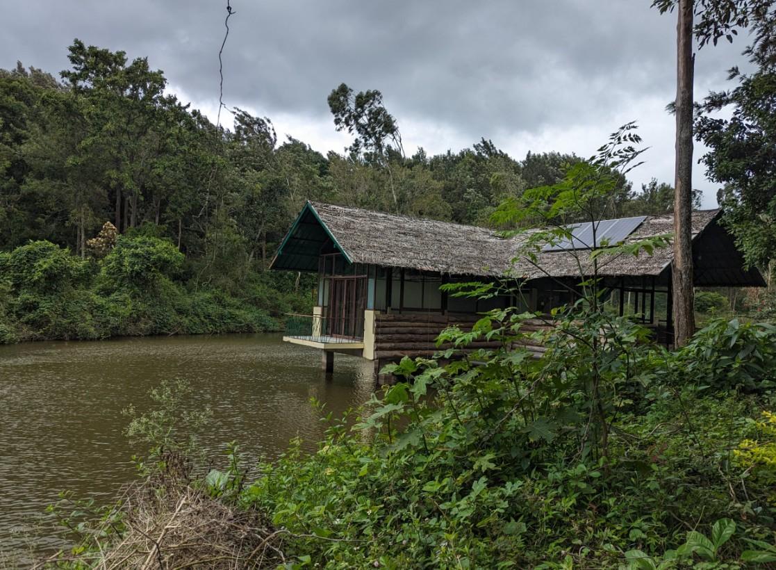 Ayurvedic Herbal Garden