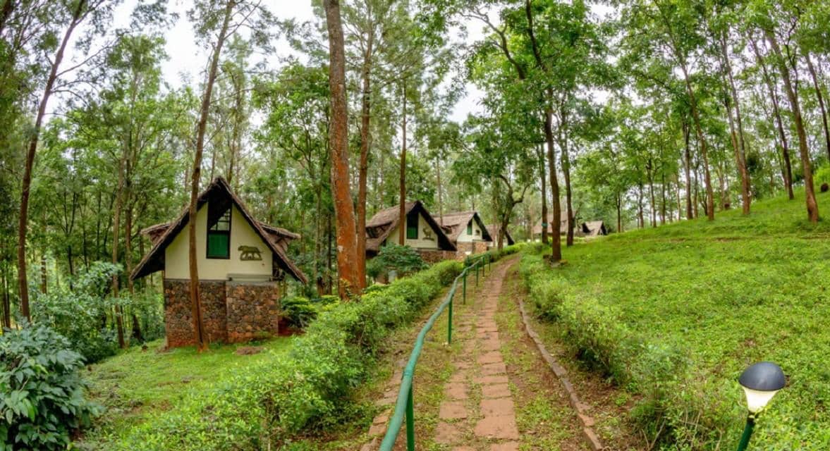 Nature Walk & Birding