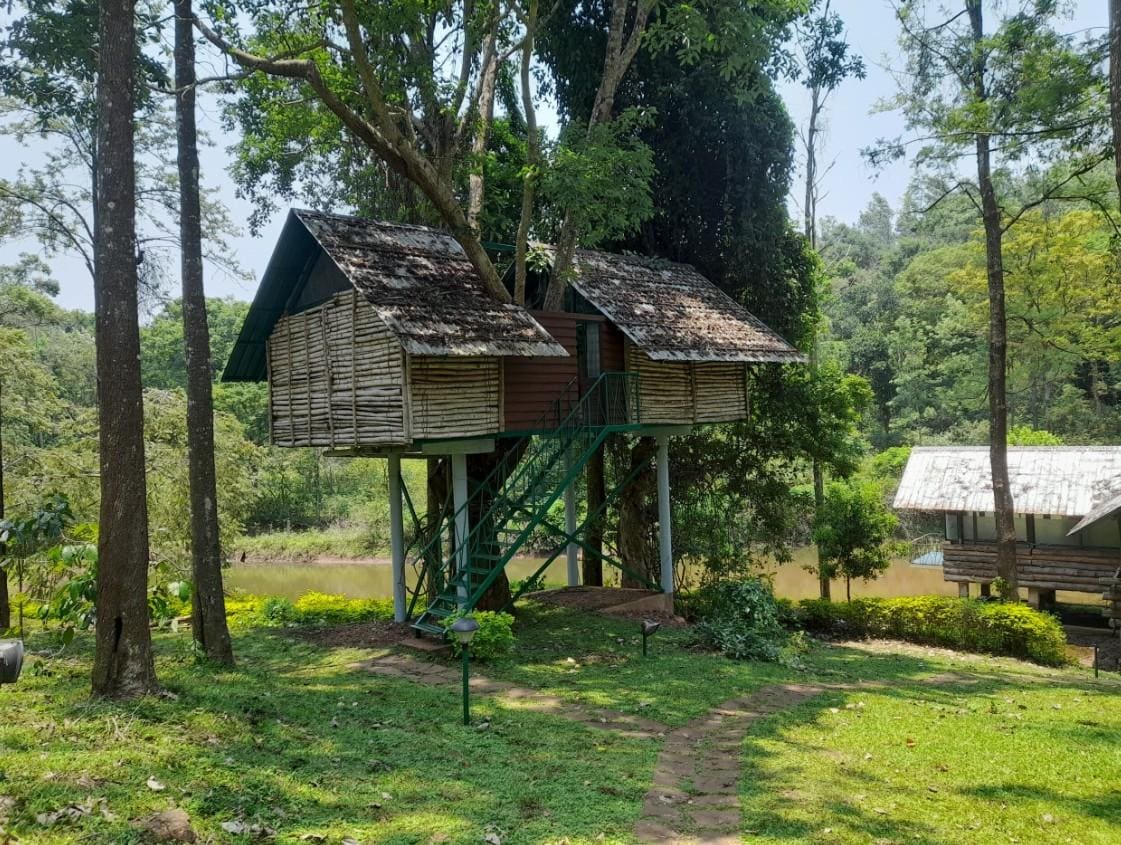 Tree House Stay