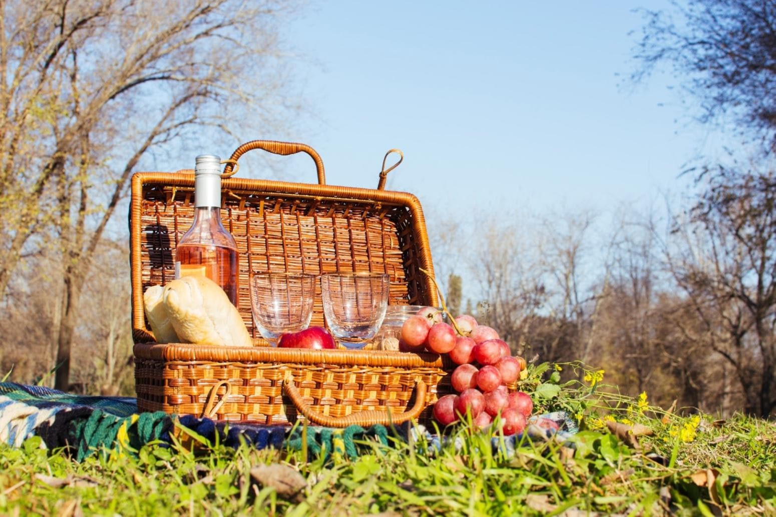 Curated Picnic Basket