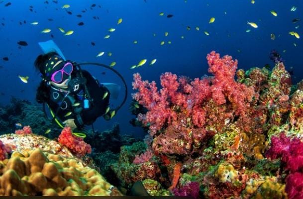 Scuba Diving Adventure