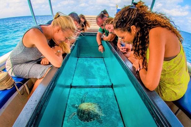 Glass Bottom Boat Ride