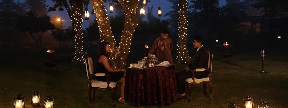 Dining Under the Stars